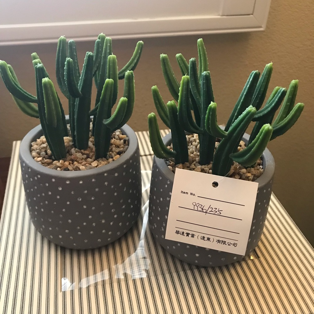 PM06004 Two Artificial Succulents in Ceramic Pots
